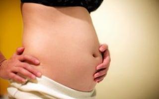 Ощущения женщины на четвертом месяце беременности, размер живота и развитие плода, возможные осложнения Как выглядит 4 месячный плод
