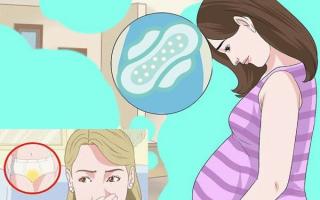 Зеленые выделения при беременности на ранних сроках